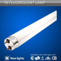 t8 bus tube light